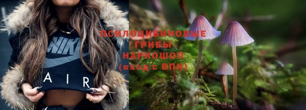 гидропоника Новокубанск