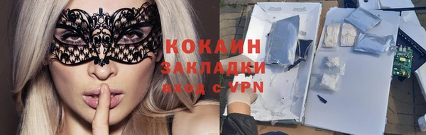 индика Абаза