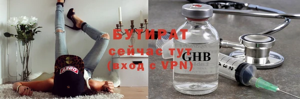 индика Абаза