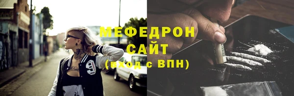 индика Абаза