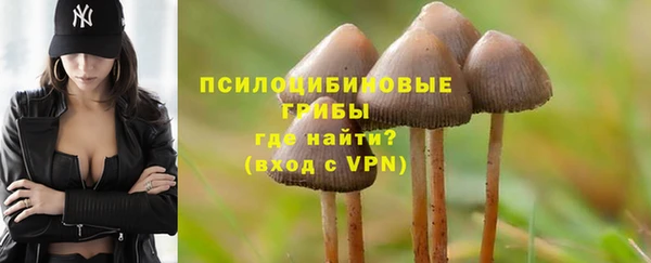 героин Новодвинск