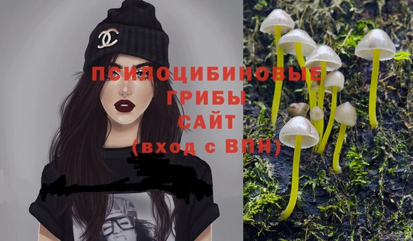 индика Абаза