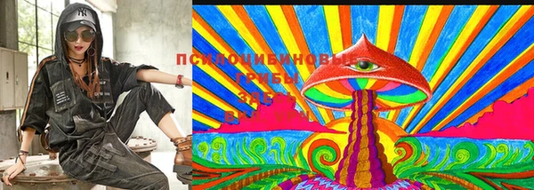 прущие грибы Алексеевка