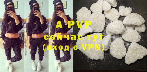 прущие грибы Абинск