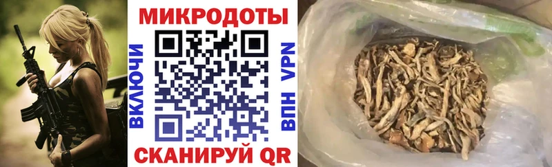 Псилоцибиновые грибы GOLDEN TEACHER  Суоярви 